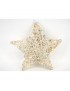 ESTRELLA 50 CM. NAVIDAD MIMBRE CON LUZ 15 LED
