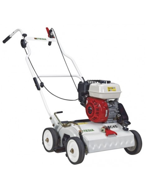 https://www.tiendadeljardin.com/11433-large_default/escarificador-etesia-msc45.jpg