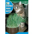 HIERBA PARA GATOS