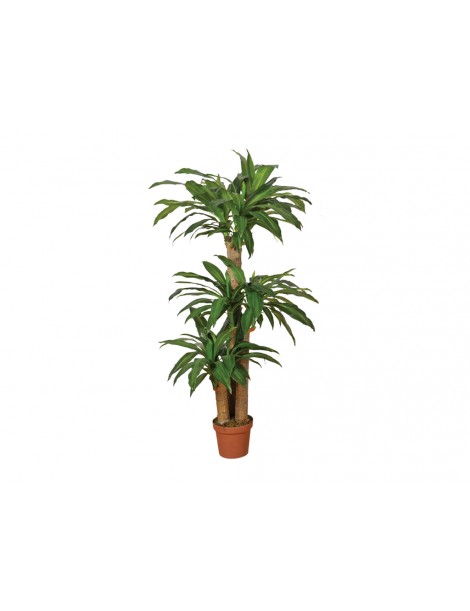 DRACENA ARTIFICIAL 145 CM