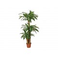 DRACENA ARTIFICIAL 145 CM