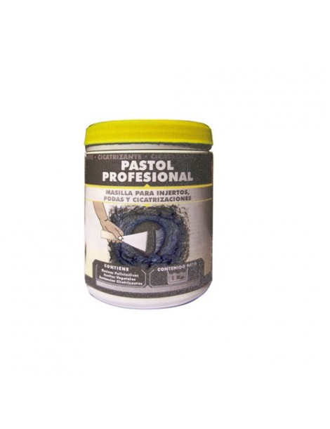 PASTA CICATRIZANTE PASTOL 1 KG