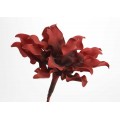 FLOR CUMBIA 54 CM ROJA