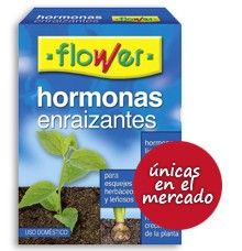hormonas enraizantes, enraizante, productos flower