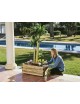 JARDINERA RECTANGULAR MADERA CON MALLA