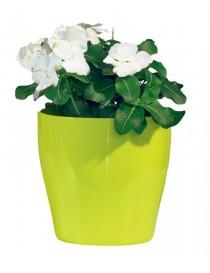 VASO LINVING 11 CM. INDOOR