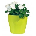 VASO LIVING 11 CM. INDOOR