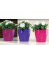 VASO LIVING 13 CM. INDOOR