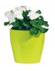 VASO LIVING 13 CM. INDOOR