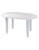 MESA RESINA PLASMIR ALYA OVALADA 130X90 CM. BLANCA