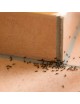 PROTECT HOME TRAMPA HORMIGAS USO INTERIOR Y EXTERIOR