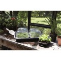 INVERNADERO GREEN BASICS GROW HOUSE S