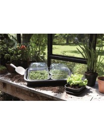 PLATO INVERNADERO GREEN BASICS GROW TRAY SAUCER S