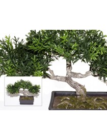 BONSAI HOJA DE TE PLASTIC CON MACETA