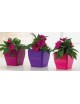 HIDROJARDINERA VASO LIVING QUADRATO INDOOR 25 CM.