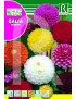 DALIA POMPON DOBLE VARIADA