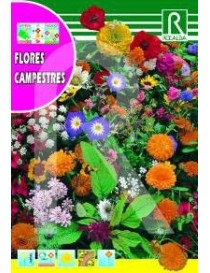 FLORES CAMPESTRES