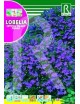 LOBELIA CRISTAL PALACE