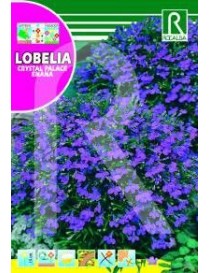 LOBELIA CRISTAL PALACE