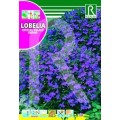 LOBELIA CRISTAL PALACE