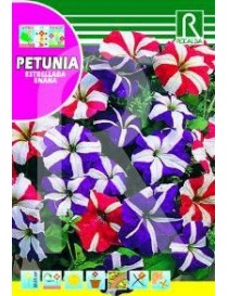 PETUNIA ESTRELLADA ENANA