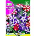 PETUNIA ESTRELLADA ENANA