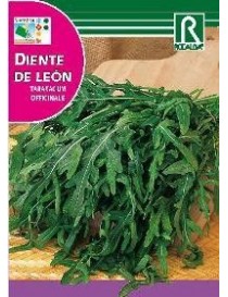 DIENTE DE LEÓN