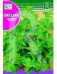 OREGANO 