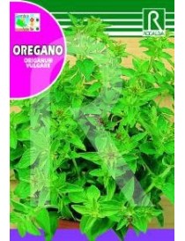 OREGANO 