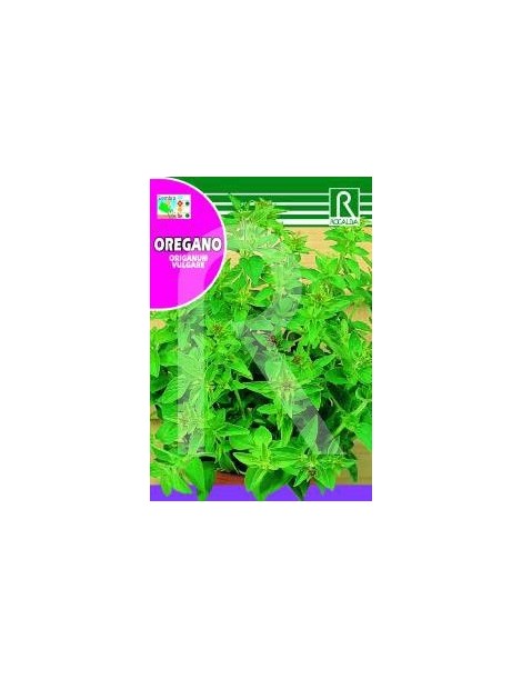 OREGANO 