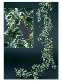 GUIRNALDA HIEDRA 180 CM. NATURAL 