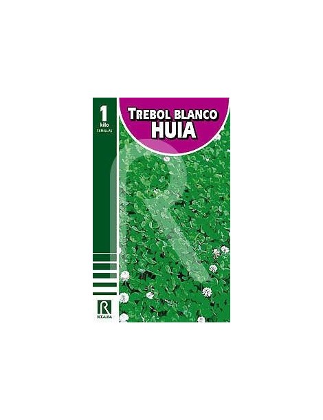 TREBOL BLANCO ENANO HUIA 1 KG. 