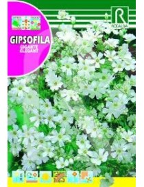 GIPSOFILA GIGANTE ELEGANT BLANCA