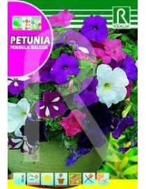 PETUNIA PENDULA BALCON VARIADA