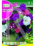 PETUNIA PENDULA BALCON VARIADA