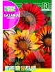 GAZANIA SUNSHINE MEZCLA FLORISTA