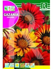 GAZANIA SUNSHINE MEZCLA FLORISTA