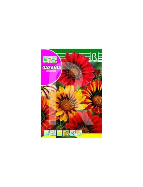 GAZANIA SUNSHINE MEZCLA FLORISTA