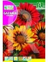 GAZANIA SUNSHINE MEZCLA FLORISTA