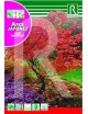 ARCE JAPONES "ACER PALMATUM"