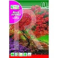 ARCE JAPONES "ACER PALMATUM"