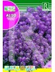 ALISO COMPACTO VIOLETA