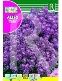 ALISO COMPACTO VIOLETA