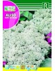 ALISO TAPIS DE NEIGE