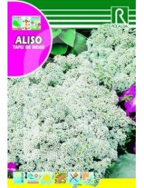 ALISO TAPIS DE NEIGE