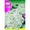 ALISO TAPIS DE NEIGE