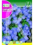 CAMPANULA DE LOS CARPATOS AZUL