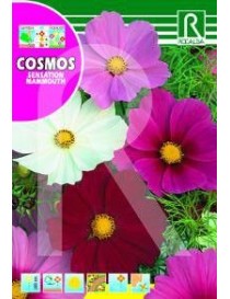  COSMOS SENSATION MAMMOUTH GIGANTE VARIADO