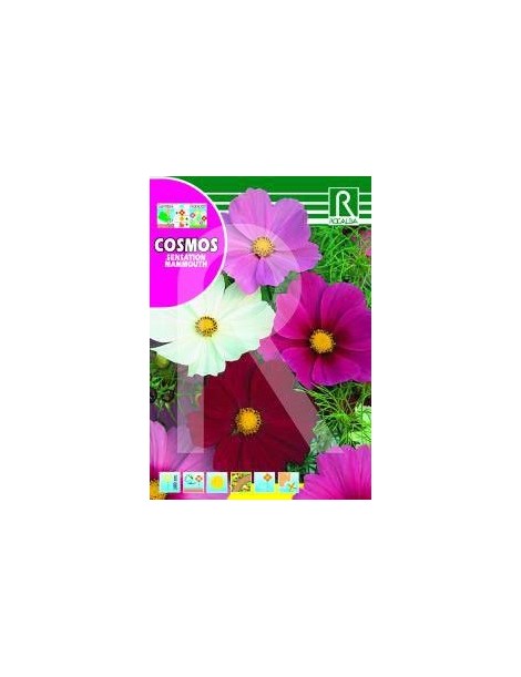  COSMOS SENSATION MAMMOUTH GIGANTE VARIADO