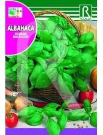 ALBAHACA (Basilic Grand Vert)